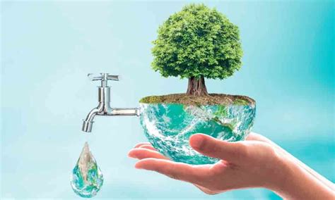 Aqua Magic V Toilet: The Ultimate Water Saving Solution